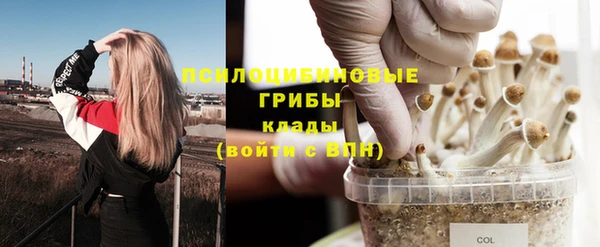 мет Тихвин